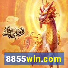 8855win.com