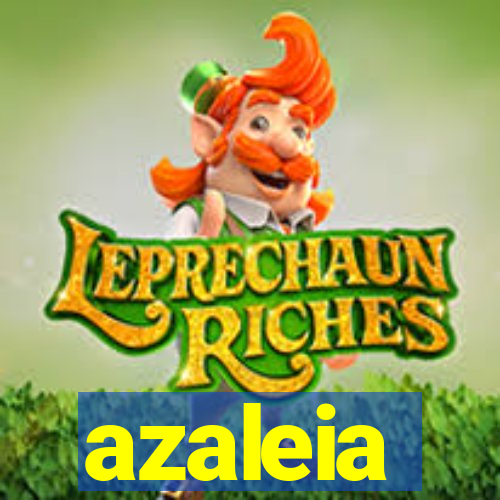 azaleia-br.com