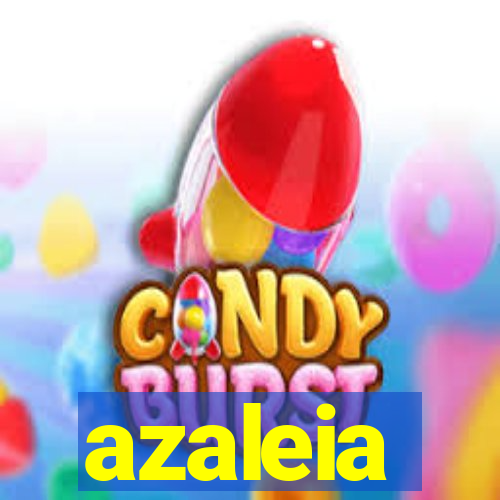 azaleia-br.com