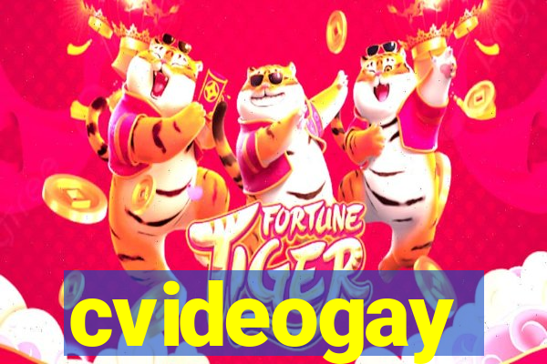 cvideogay