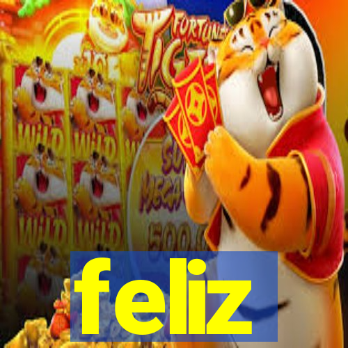 feliz-pg.com