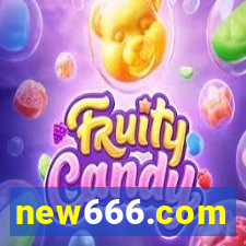 new666.com