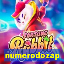 numerodozap