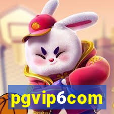 pgvip6com