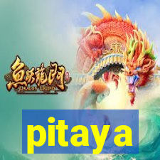 pitaya-bet